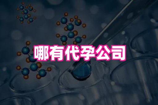 国际助孕网站 2