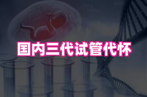 国际助孕网站 3
