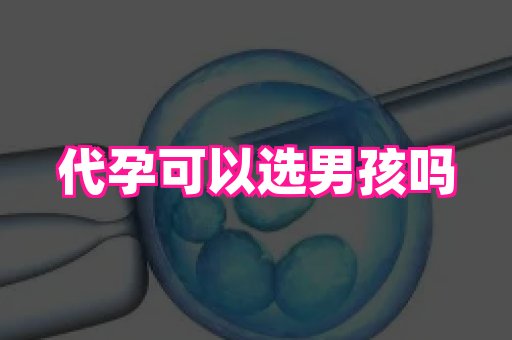 国际助孕网站 4